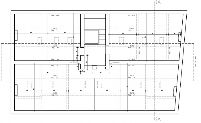 Duplex Lyon : Plan comble existant